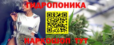 прущие грибы Усть-Илимск