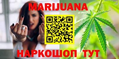 прущие грибы Усть-Илимск