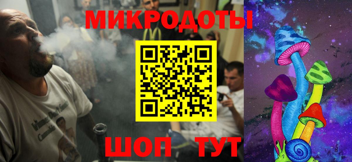 Псилоцибиновые грибы Psilocybe Воскресенск